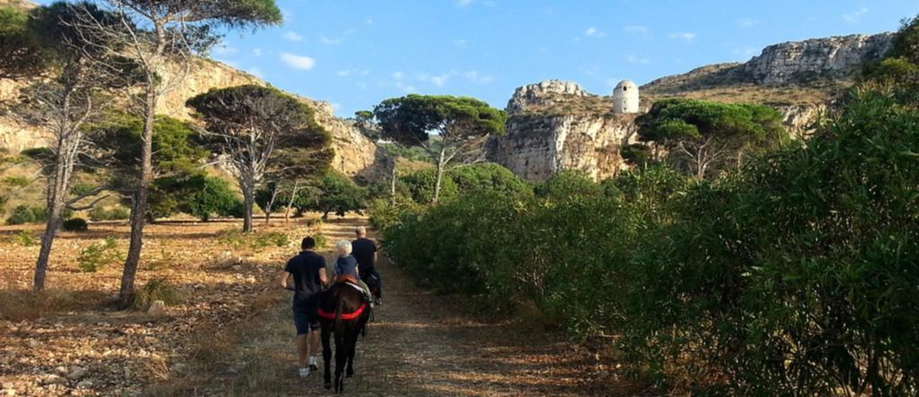 Azienda Agrituristica Tenuta Pizzolungo Erice Exteriér fotografie