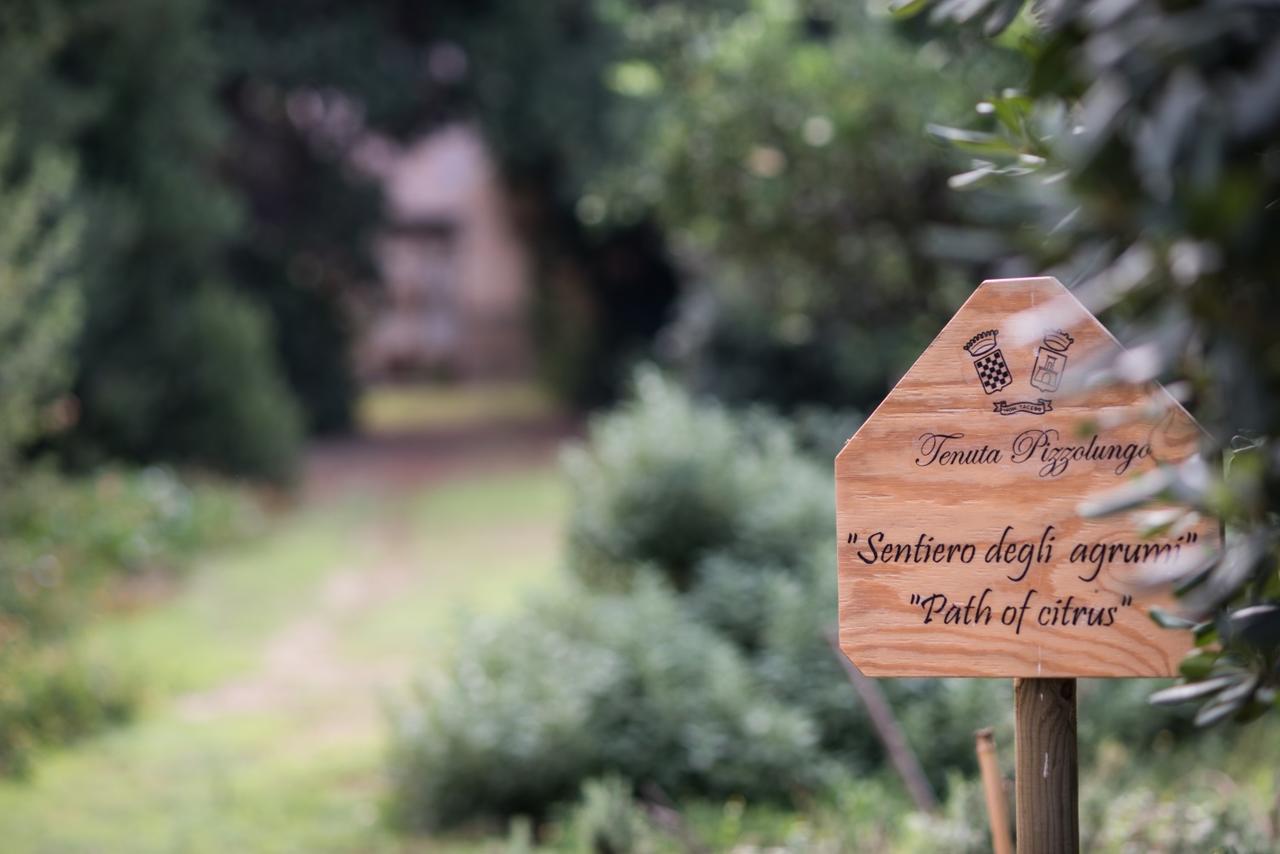 Azienda Agrituristica Tenuta Pizzolungo Erice Exteriér fotografie