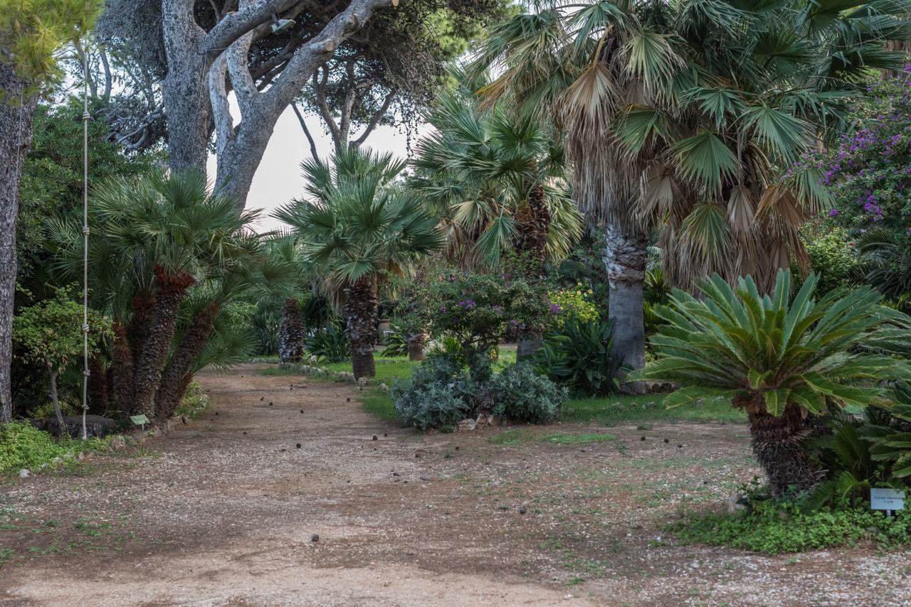 Azienda Agrituristica Tenuta Pizzolungo Erice Exteriér fotografie