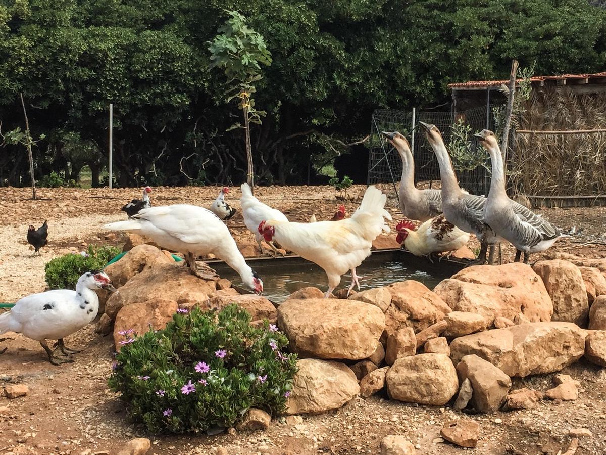 Azienda Agrituristica Tenuta Pizzolungo Erice Exteriér fotografie