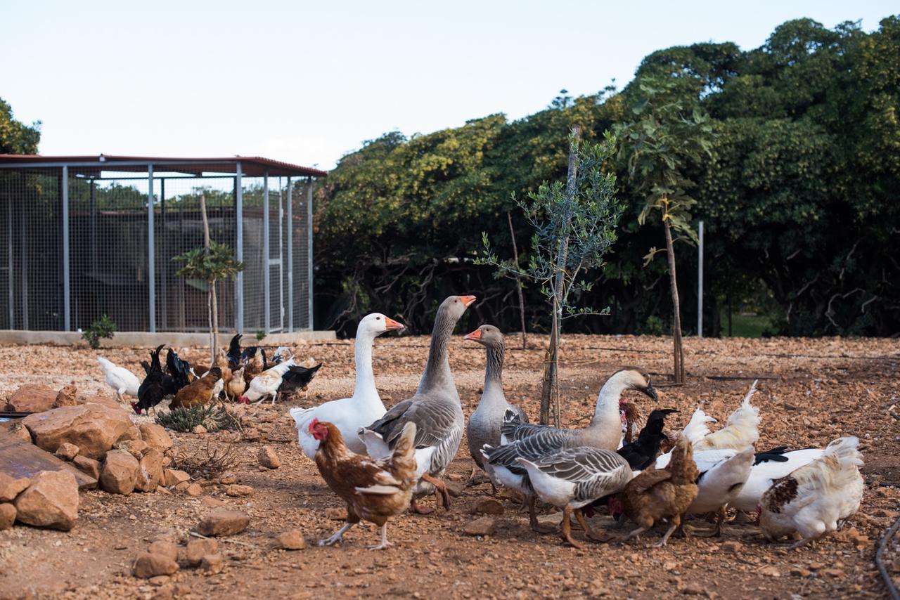 Azienda Agrituristica Tenuta Pizzolungo Erice Exteriér fotografie