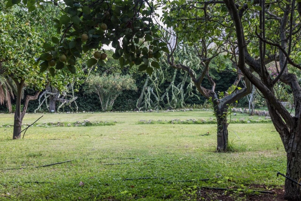 Azienda Agrituristica Tenuta Pizzolungo Erice Exteriér fotografie